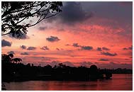 Ashtamudi Backwaters